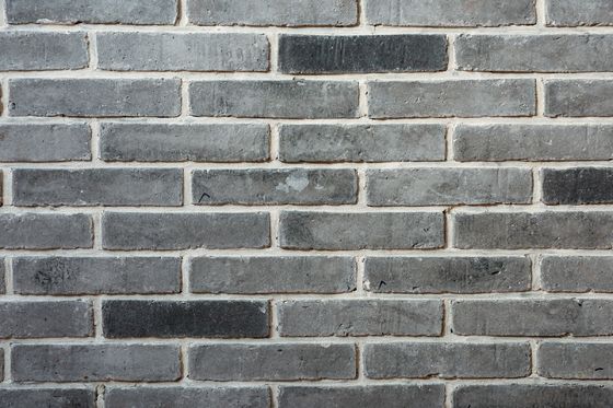 Dunne Duurzame Binnenlands &amp; de Buitenkant van Clay Brick Low Maintenance Bricks Gemakkelijk te installeren &amp; Besnoeiing